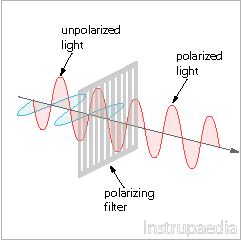 polarization of light